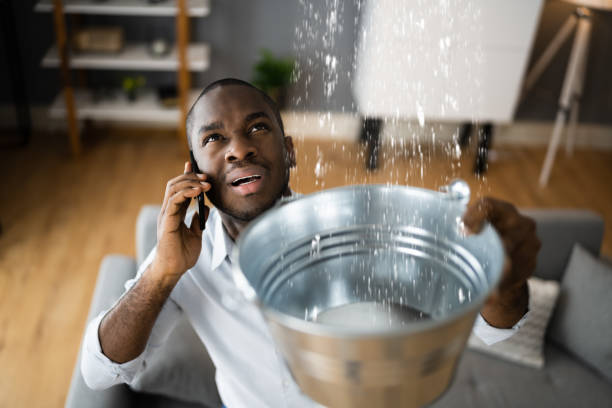 Best Sewage cleanup and water damage restoration  in Ankeny, IA