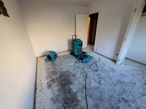 Water damage restoration insurance claims in Ankeny, IA