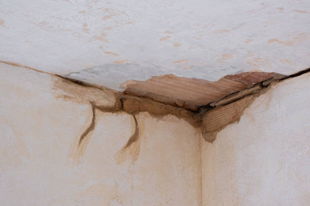 Best Water damage restoration near me  in Ankeny, IA