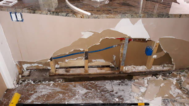 Best Water damage restoration near me  in Ankeny, IA