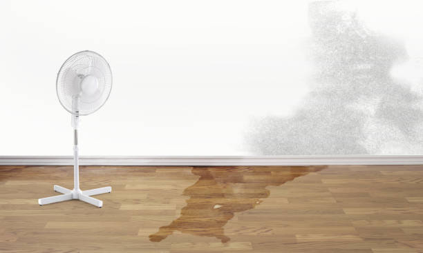 Ankeny, IA Water damage restoration Pros
