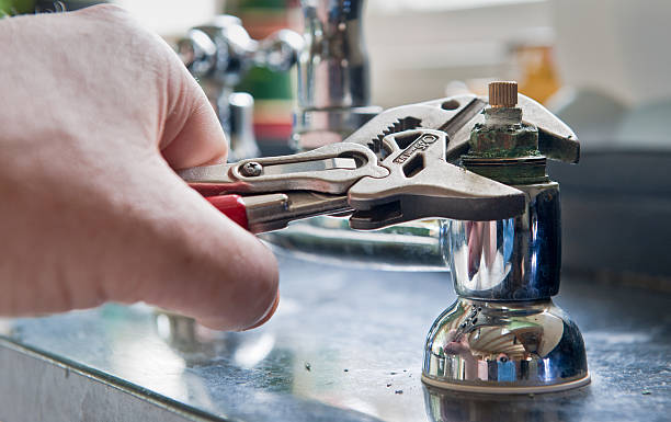 Best Professional water damage repair  in Ankeny, IA