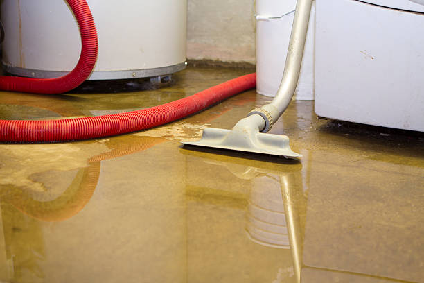 Best 24-hour water damage restoration  in Ankeny, IA