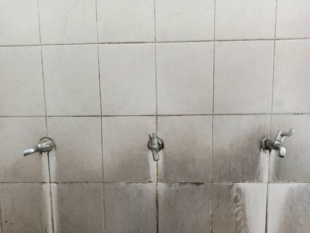 Best Professional water damage repair  in Ankeny, IA