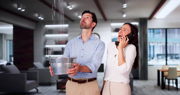 Best Commercial water damage restoration  in Ankeny, IA