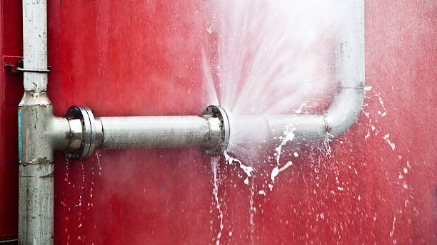 Best Local water damage restoration  in Ankeny, IA