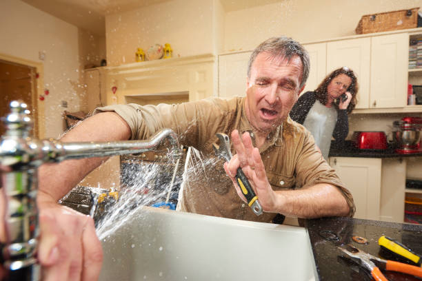 Best Flood restoration services  in Ankeny, IA